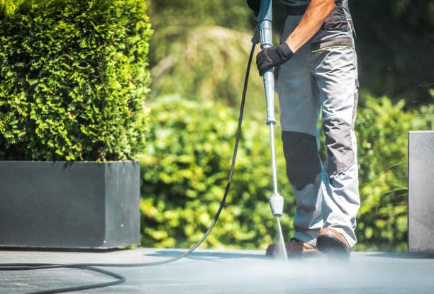 Best House Exterior Washing  in Hertford, NC