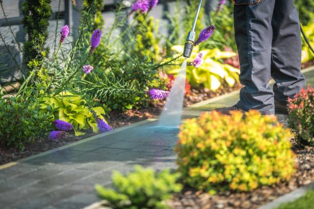 Best Pre-Holiday Cleaning  in Hertford, NC