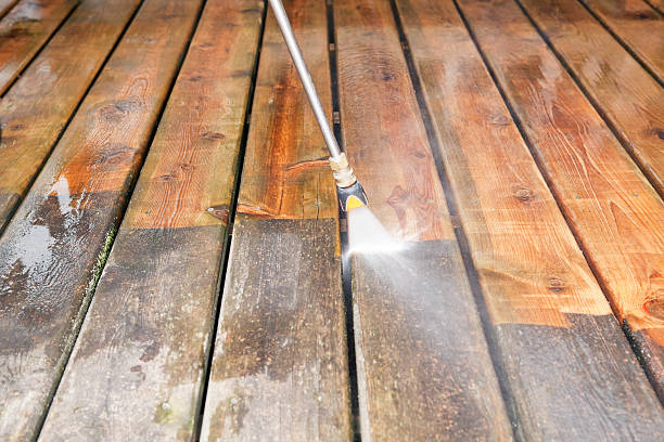 Best Sidewalk and Walkway Cleaning  in Hertford, NC